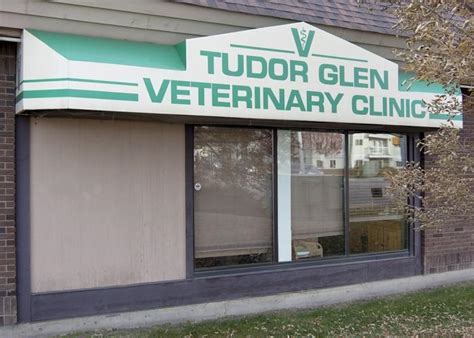 tudor glen vet clinic|tudor glen st albert.